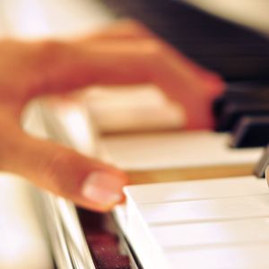 木下檀檩子邻居
